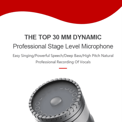 10 VHF Wireless Microphone Universal