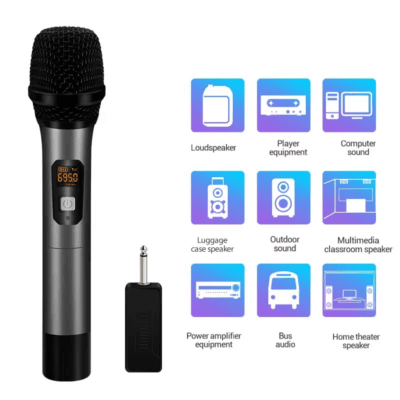 2 Wireless Microphone Professional Stage
