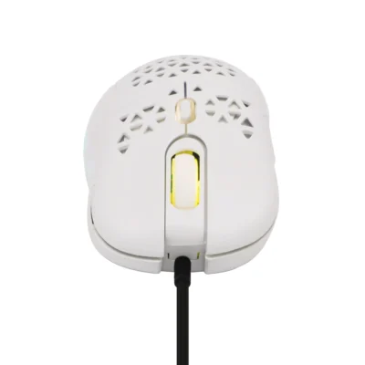 1 Lightweight Honeycomb