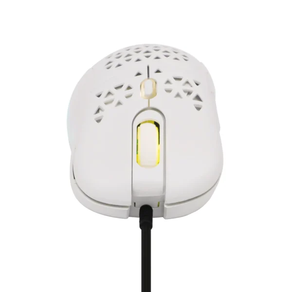 1 Lightweight Honeycomb
