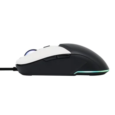 2 Usb Wired Gamer