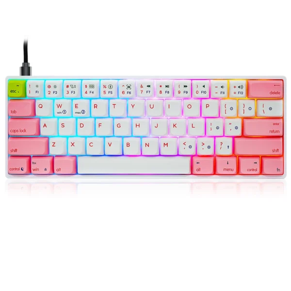 4 Hot-swappable Keyboard 60% Mechanica