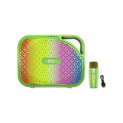 AUX Portable Amplifier (1)