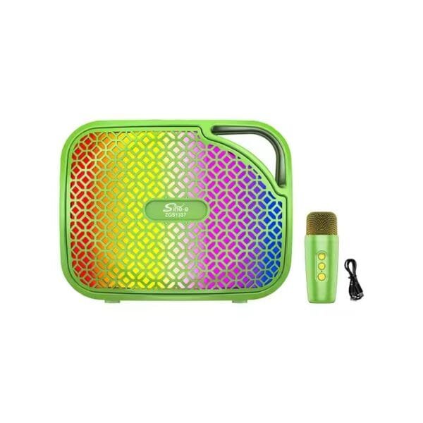 AUX Portable Amplifier (1)