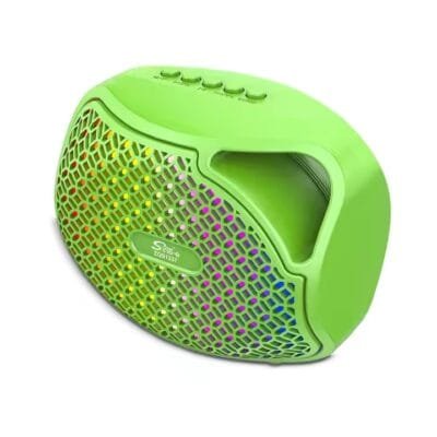 AUX Portable Amplifier (4)