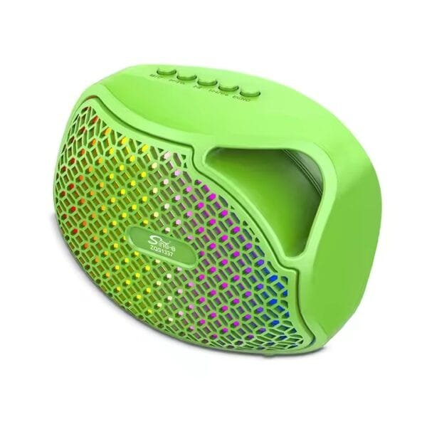 AUX Portable Amplifier (4)
