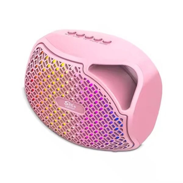 AUX Portable Amplifier (7)