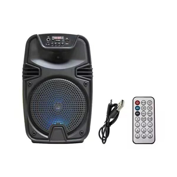 Audio Studio Wireless Speaker (2)