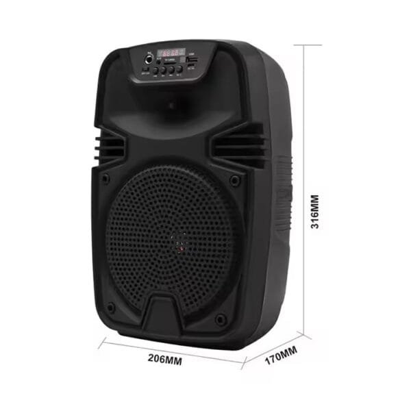 Audio Studio Wireless Speaker (3)