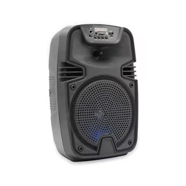 Audio Studio Wireless Speaker (5)