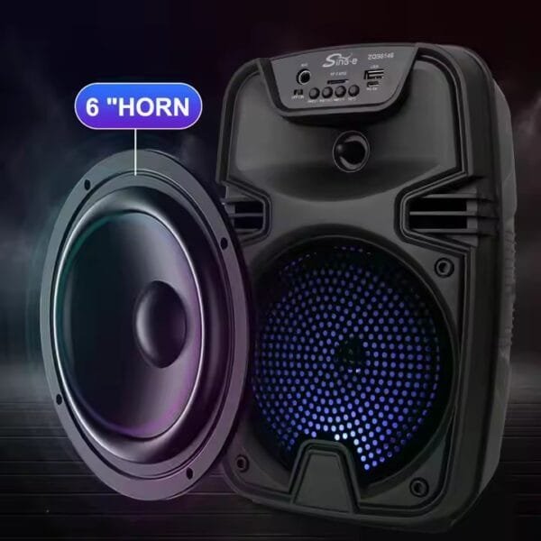 Bluetooth speaker outdoor (1)