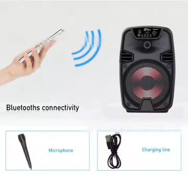 Bluetooth speaker outdoor (10)