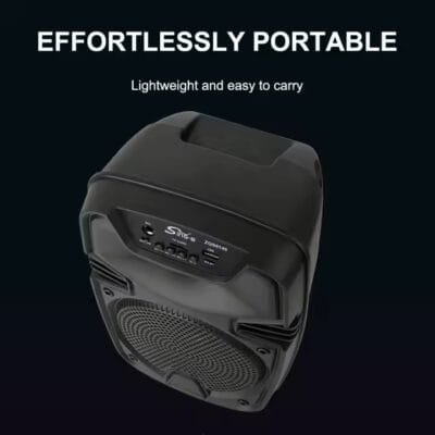 Bluetooth speaker outdoor (5)