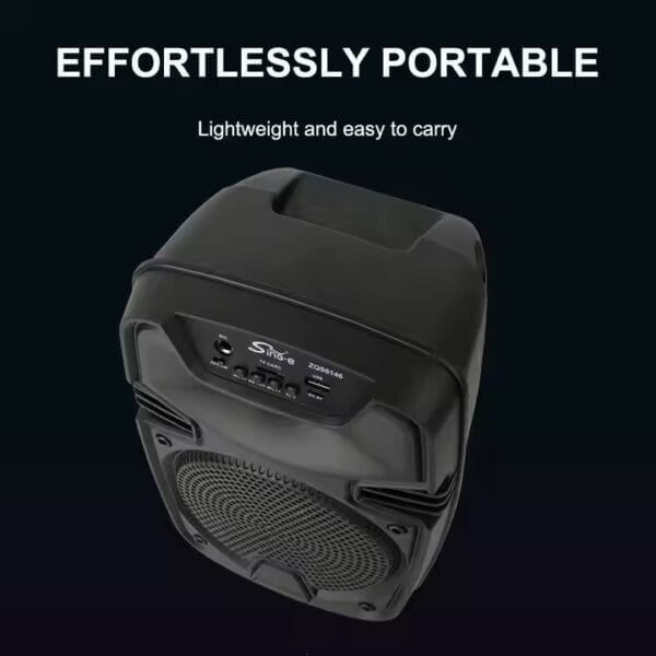 Bluetooth speaker outdoor (5)