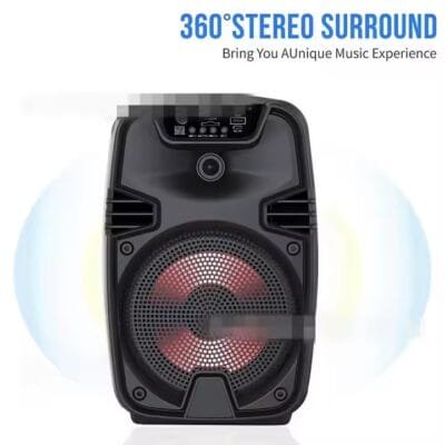 Bluetooth speaker outdoor (6)