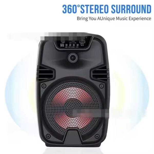 Bluetooth speaker outdoor (6)
