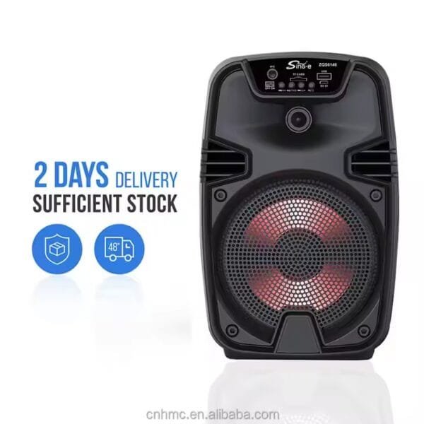 Bluetooth speaker outdoor (9)