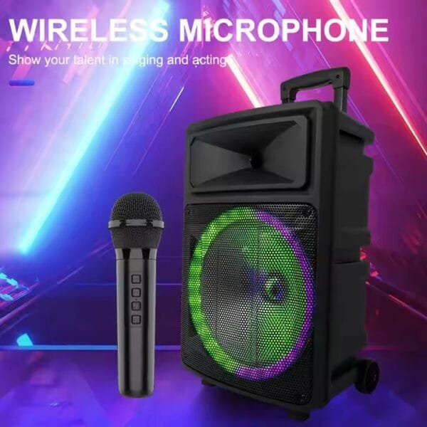 DJ Karaoke Outdoor (6)
