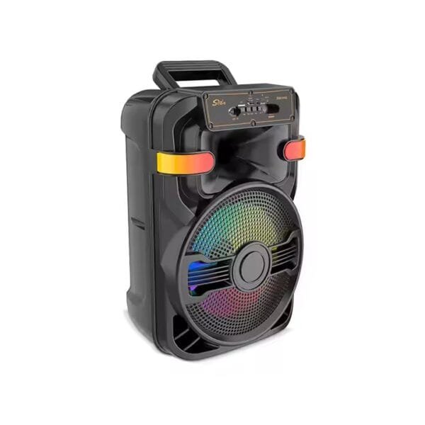 DJ Party Speaker (1)
