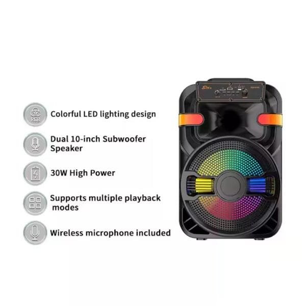 DJ Party Speaker (2)
