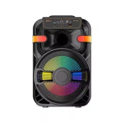 DJ Party Speaker (4)