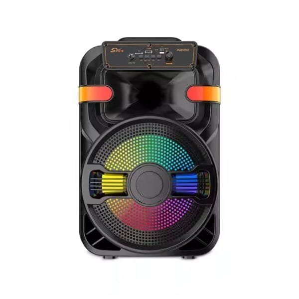 DJ Party Speaker (4)