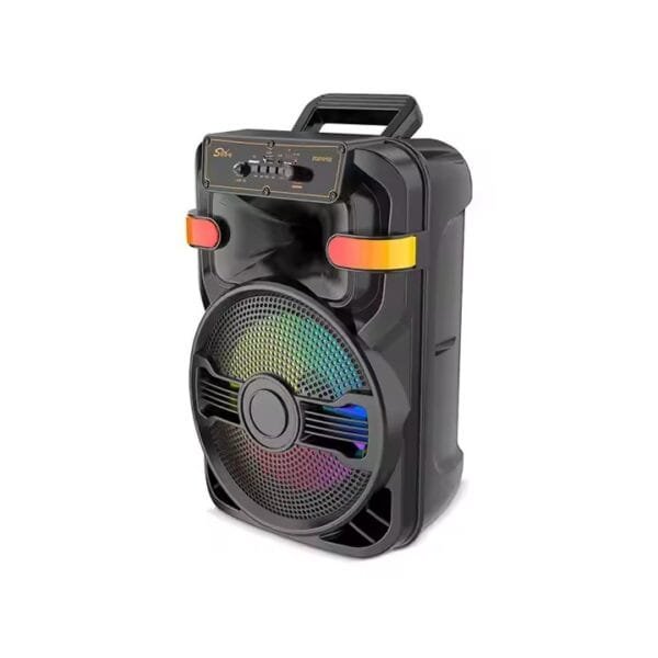 DJ Party Speaker (5)