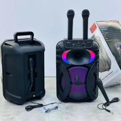 DJ Party Speaker (7)