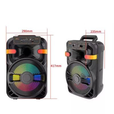 DJ Party Speaker (8)