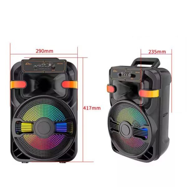 DJ Party Speaker (8)