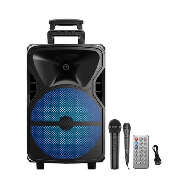 Display Screen and Two MIc (9)