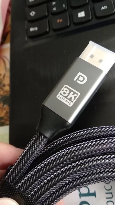 DisplayPort 1.4 Cable (1)