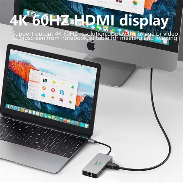 Docking Station with 4K@60Hz (8)