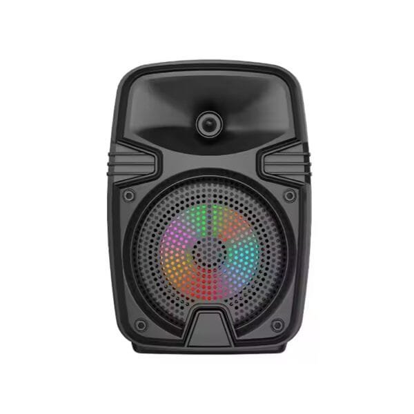 FM LED TWS Speaker (1)