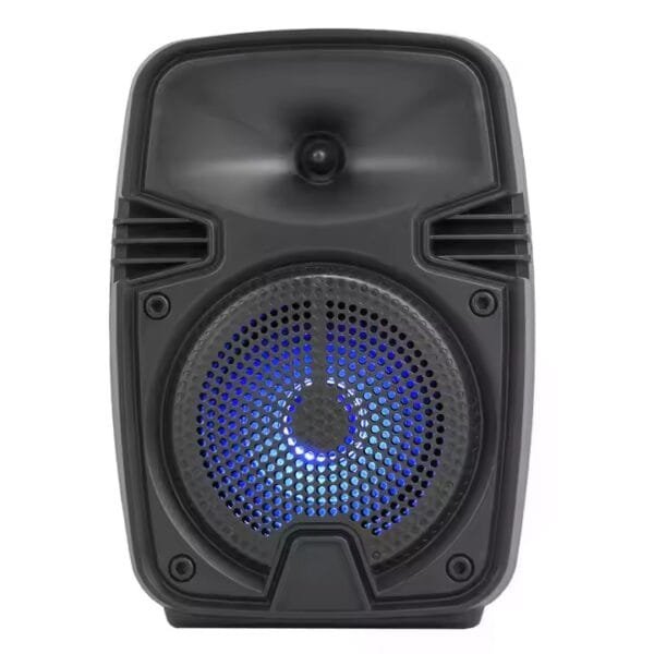 FM LED TWS Speaker (3)