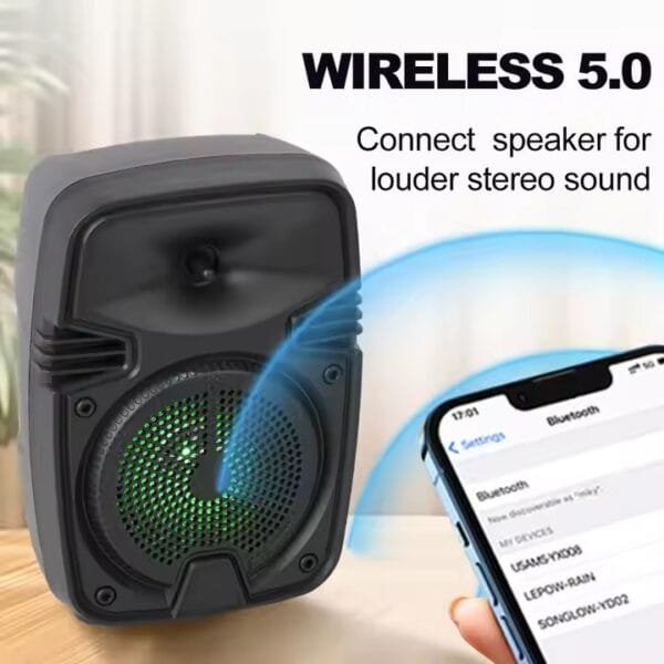 FM LED TWS Speaker (6)