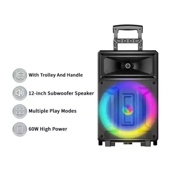 Factory 12 inch outdoor (2)