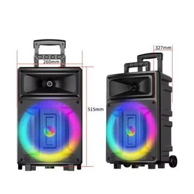 Factory 12 inch outdoor (6)
