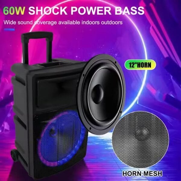 Factory 12 inch outdoor (8)
