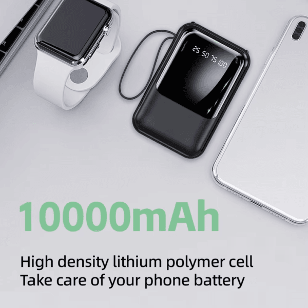 Fast Charging Power Bank Built-in Cables (1)