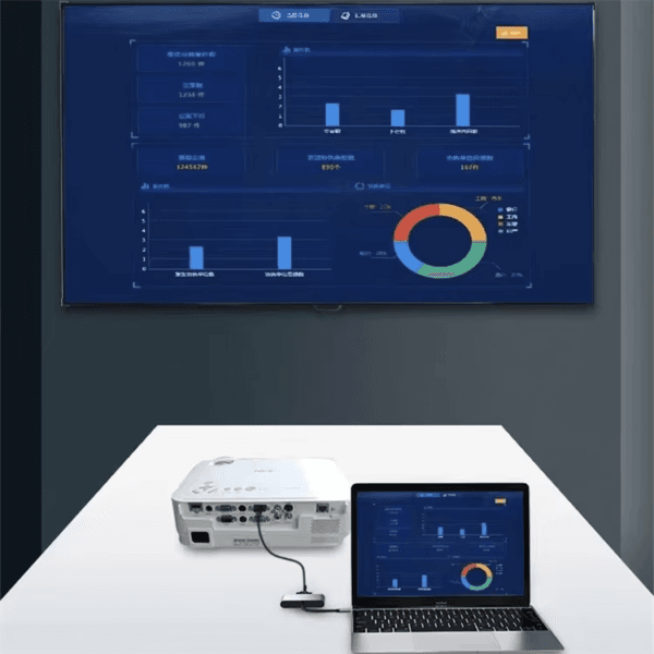 HD Video Hub Type C (6)