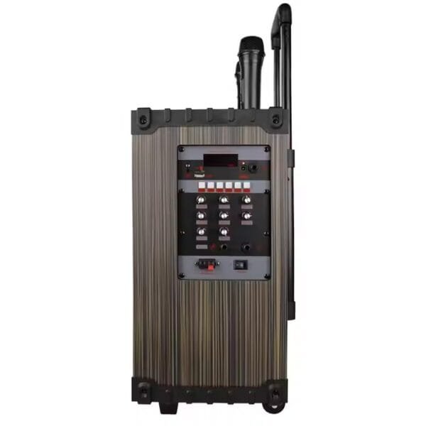 Karaoke Set for Parties (1)