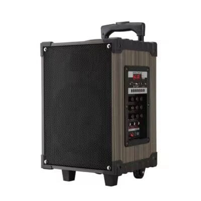 Karaoke Set for Parties (2)