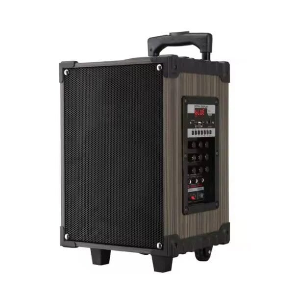Karaoke Set for Parties (2)
