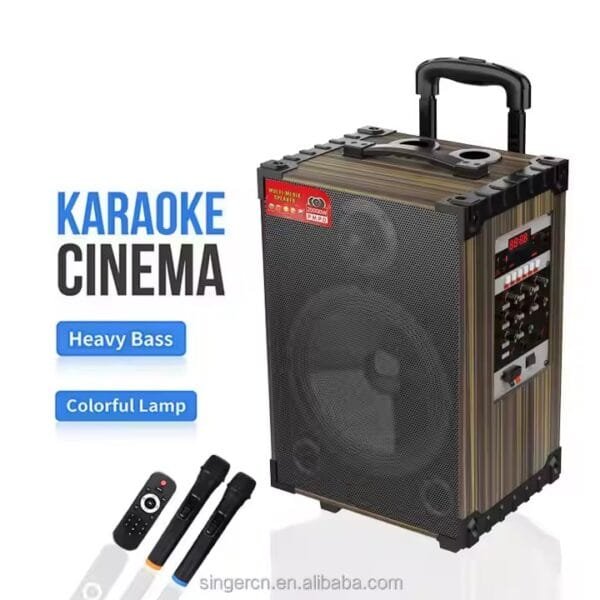 Karaoke Set for Parties (4)