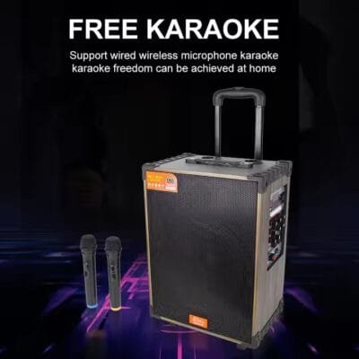 Karaoke Set for Parties (7)