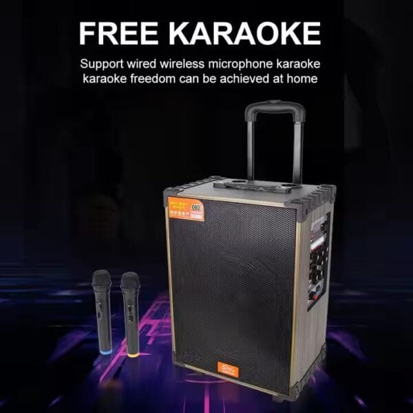 Karaoke Set for Parties (7)