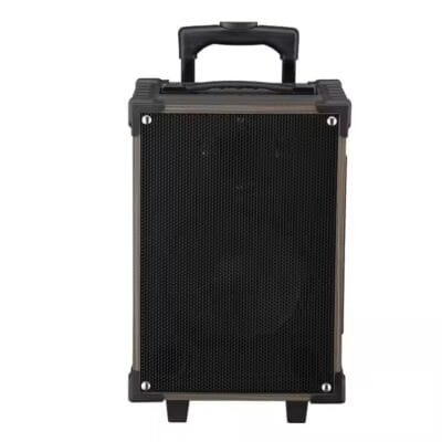 Karaoke Set for Parties (8)
