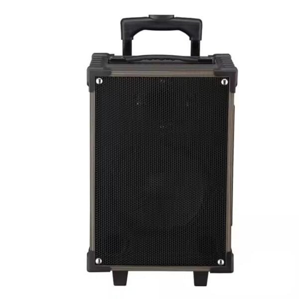 Karaoke Set for Parties (8)
