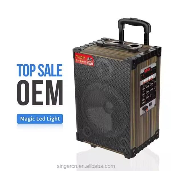 Karaoke Set for Parties (9)